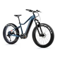 Leaderfox Ebike  Brasa  Fatbike  E-Fatbike Bayern - Mengkofen Vorschau