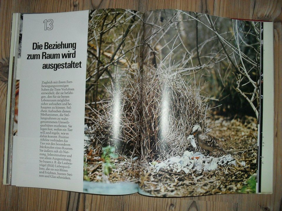 Tiere - Lebensformen und Lebensräume - Bildband in Bingen