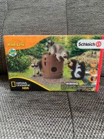 Schleich Wild Life Waschbär Set NEU+OVP Sachsen - Penig Vorschau