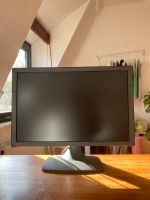 Bildschirm Monitor QUATO Display 262 Excel Bildbearbeitung 27“ Niedersachsen - Bad Salzdetfurth Vorschau