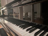 August Förster A-Flügel 190 - wie Steinway, Bechstein, Steinweg Niedersachsen - Hollern-Twielenfleth Vorschau