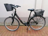 Curtis Alu-City-Bike 28" Damen Parchim - Landkreis - Plau am See Vorschau