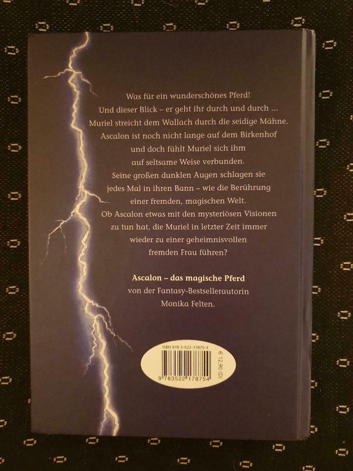 Mädchenbücher Pferde Buch Mädchen Reiterin Traumtänzer in Eppertshausen