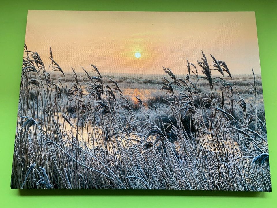 Beleuchtetes Bild in Jüchen