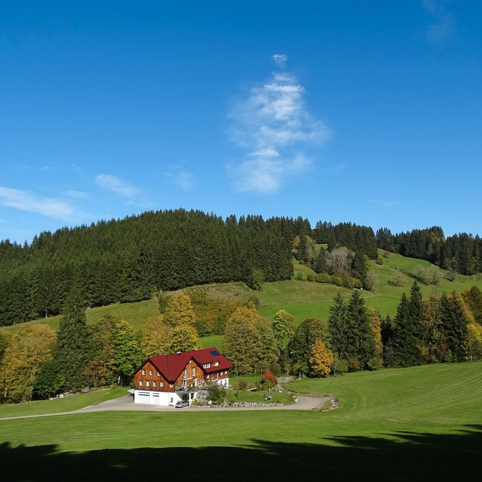 Ferienwohnung, Fewo, Urlaub, Allgäu, Wengen, Isny, Kempten in Weitnau