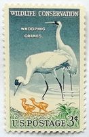 USA, United Postage, Wildlife Conversation, drei Cent Nordrhein-Westfalen - Lippstadt Vorschau