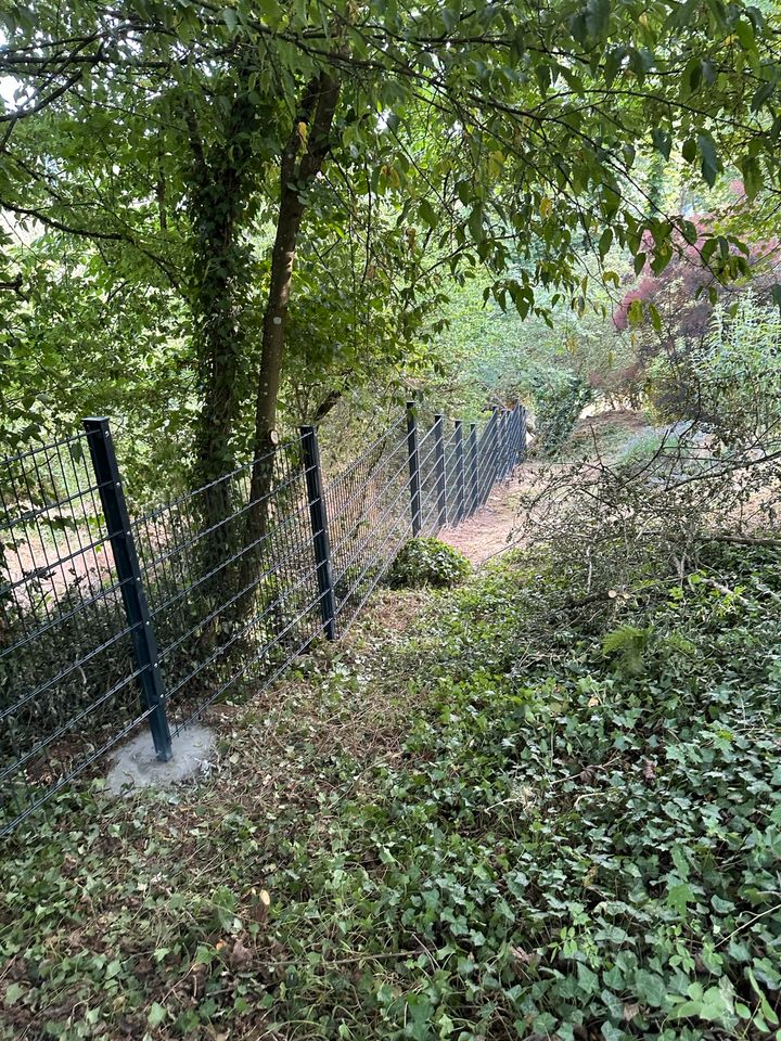 Hecke schneiden Garten Bagger Arbeit Garten Bau in Homberg