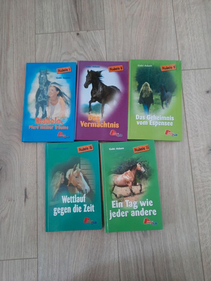 Diabolo Pony Club Bücherpaket in Bleckede
