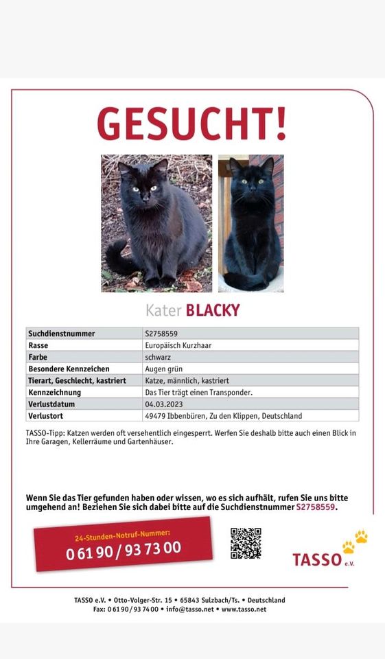 Kater Blacky seit 4.3. vermisst in Ibbenbüren