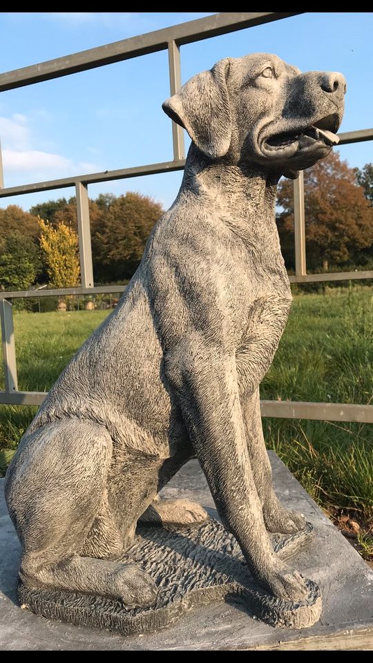 Labrador Retriever 80cm 90kg Lebensgroß Steinguss Labbi Lab Hund in Karlsruhe