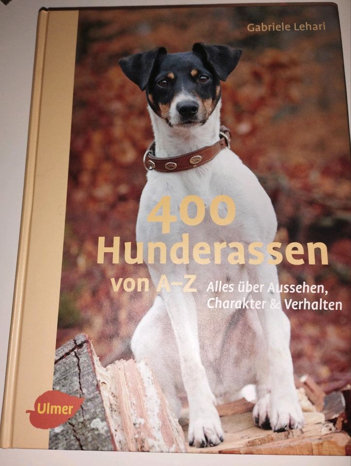 400  Hunderassen von A-Z neu in Berlin