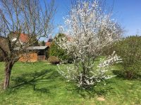 Garten- und Freizeitgrundstück incl. Gartenhaus in Hollenbach Bayern - Hollenbach Vorschau