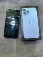 Apple iPhone 13 Pro Max Sierra Blue 256Gb Nordrhein-Westfalen - Solingen Vorschau