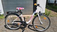 Noxon  26 Zoll Damenrad Jugendrad Shimano Nexus Nordrhein-Westfalen - Porta Westfalica Vorschau