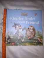 Klopfer findet einen Freund, Disney, Hase, Igel, Freundschaft Leipzig - Leipzig, Zentrum-Ost Vorschau