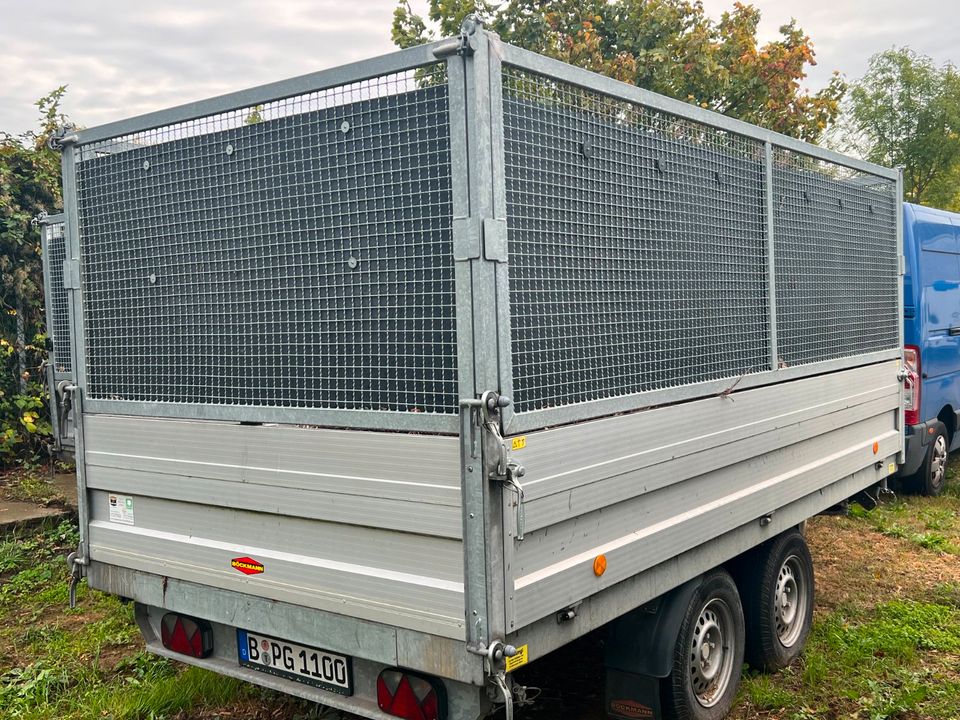 Container Anhänger Grünschnitt Gartenabfall Strauchschnitt Tanne in Berlin