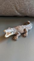 Schleich Krokodil, neuwertig Schleswig-Holstein - Erfde Vorschau