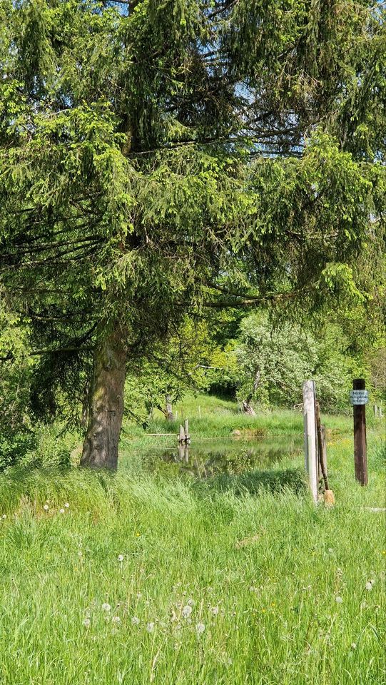 Pferdehof in Ortsrandlage/ Sanierungsobjekt in Bebra