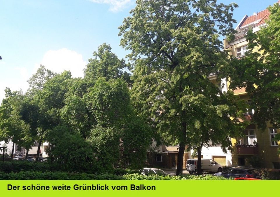 Bezugsfrei! Ruhige, geräumige Wohnung mit großem Balkon in idyllischer Grünlage in Berlin