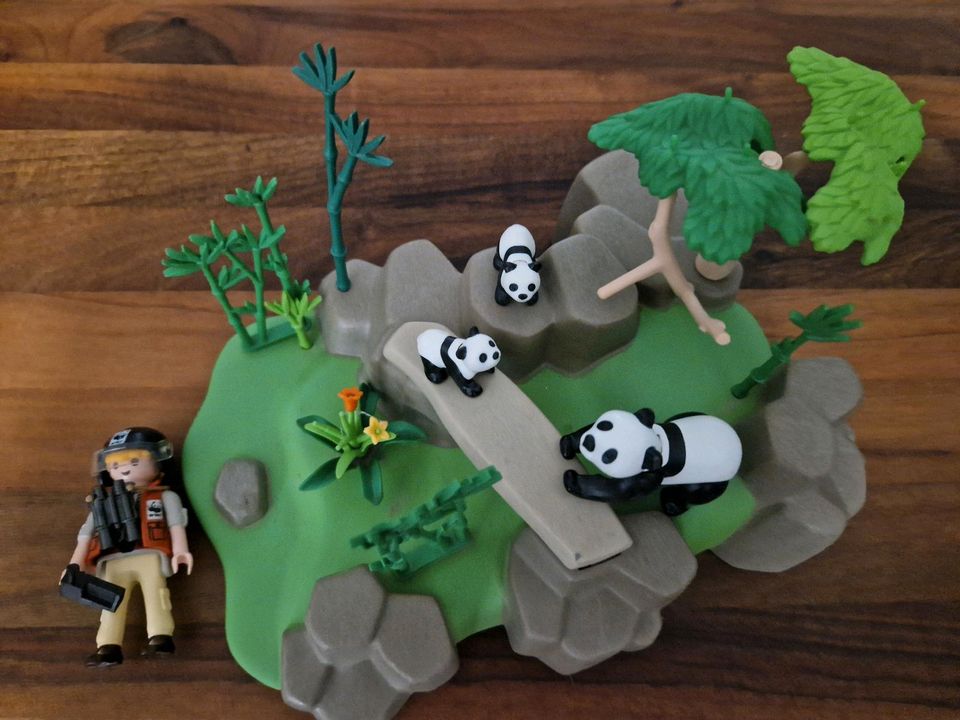 Playmobil 5272 Pandaforscher im Bambuswald in Meitingen