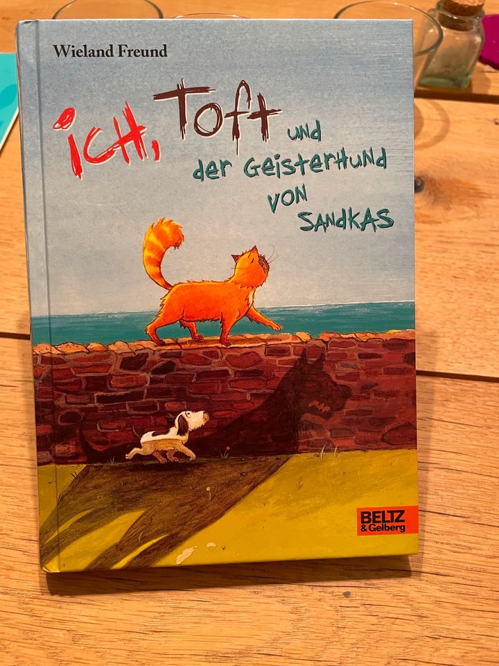 Kinderbuch: Ich, Toft und der Geisterhund in Bremen