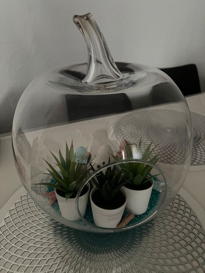 Terrarium Glas Apfel Form + Deko Vögel in Berlin