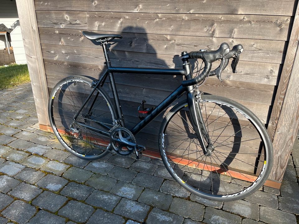 Stevens Vuelta RH56 Rennrad Ultegra Fahrrad in Süderlügum