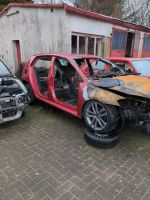 VW Golf 7 Schlachtfest ; Teileträger; Ersatzteile Niedersachsen - Delmenhorst Vorschau