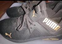 Damenschuhe Puma Rheinland-Pfalz - Weidenthal Vorschau