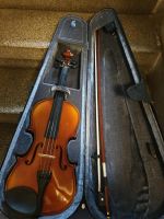 Violine Neu Bayern - Augsburg Vorschau