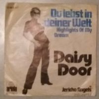 Daisy Door-Du lebst in deiner Welt (Vinyl, Single-Schallplatte) Bayern - Kirchberg i. Wald Vorschau