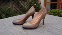 Buffalo London Damen Pumps, Gr. 37, NEUWERTIG!! Nordrhein-Westfalen - Paderborn Vorschau