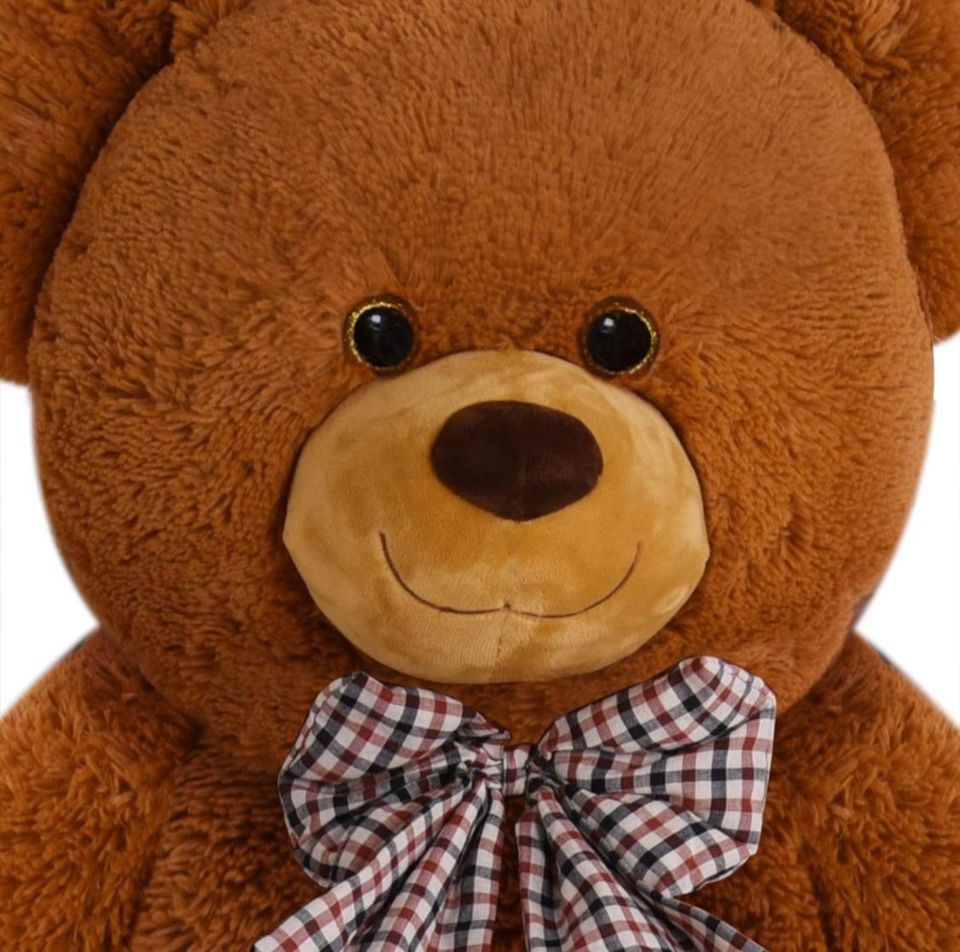 Teddybär XXL 150 cm in Schortens