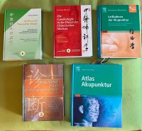 Traditionelle chinesische Medizin- TCM Fachbücher Friedrichshain-Kreuzberg - Friedrichshain Vorschau