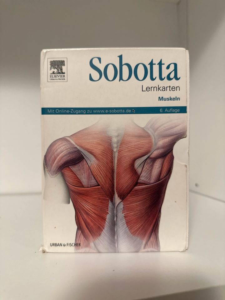 Sobotta Lernkarten Muskeln 6. Auflage guter Zustand in Köln
