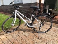 Damenfahrrad 28 Zoll Hessen - Wetter (Hessen) Vorschau