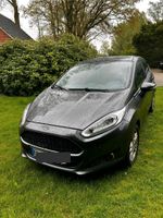 Ford Fiesta Lingen (Ems) - Biene Vorschau