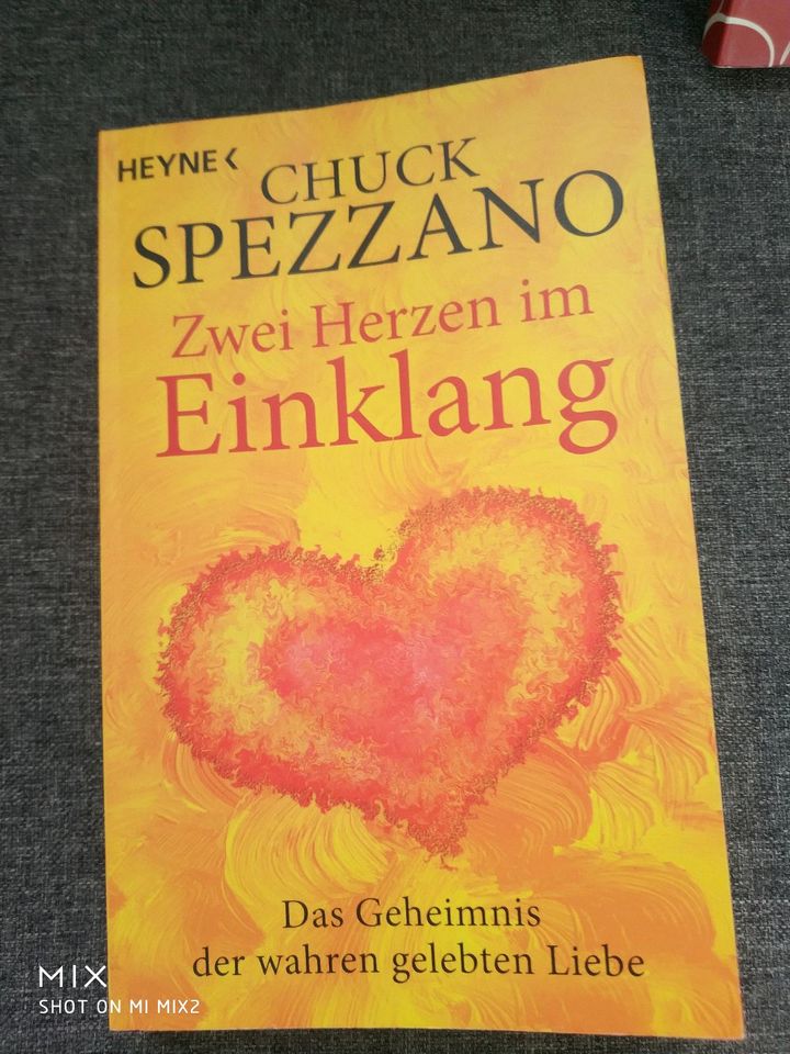 Chuck Spezzano Spiritualität Herz Heilung, Selbstliebe in Haiger