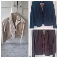 Wie NEU! Blazer blau,braun,sand L+XL s.oliver Kiel - Hassee-Vieburg Vorschau