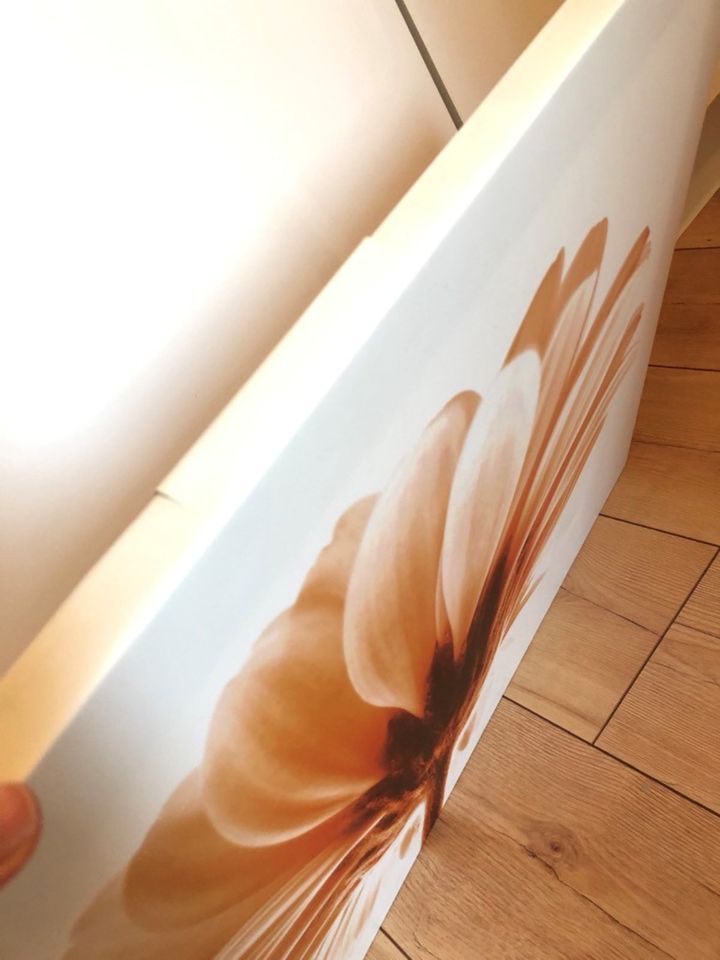 Bild Gänseblume auf Holzrahmen 70,5 x 50,5 cm in Essen Freisenbruch