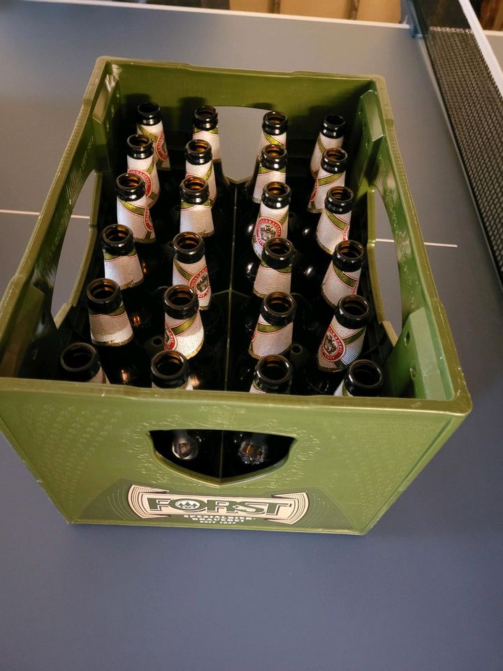 Leere Bierkiste Bierkasten Deko Flaschen FORST Südtirol Italien in Merseburg