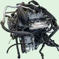 Kompletter Motor DKR - AUDI VW SEAT SKODA 1.0 TSI, ca. 13 TKM Rheinland-Pfalz - Hermeskeil Vorschau
