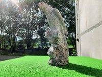Steinfigur/Vogelskulptur Papagei Naturstein Granit hellgrau Baden-Württemberg - Heidenheim an der Brenz Vorschau
