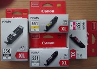 Canon Pixma XL Patronen Druckerpatronen Pankow - Prenzlauer Berg Vorschau