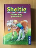 Sheltie Kleines Pony, großes Herz Kr. Passau - Passau Vorschau