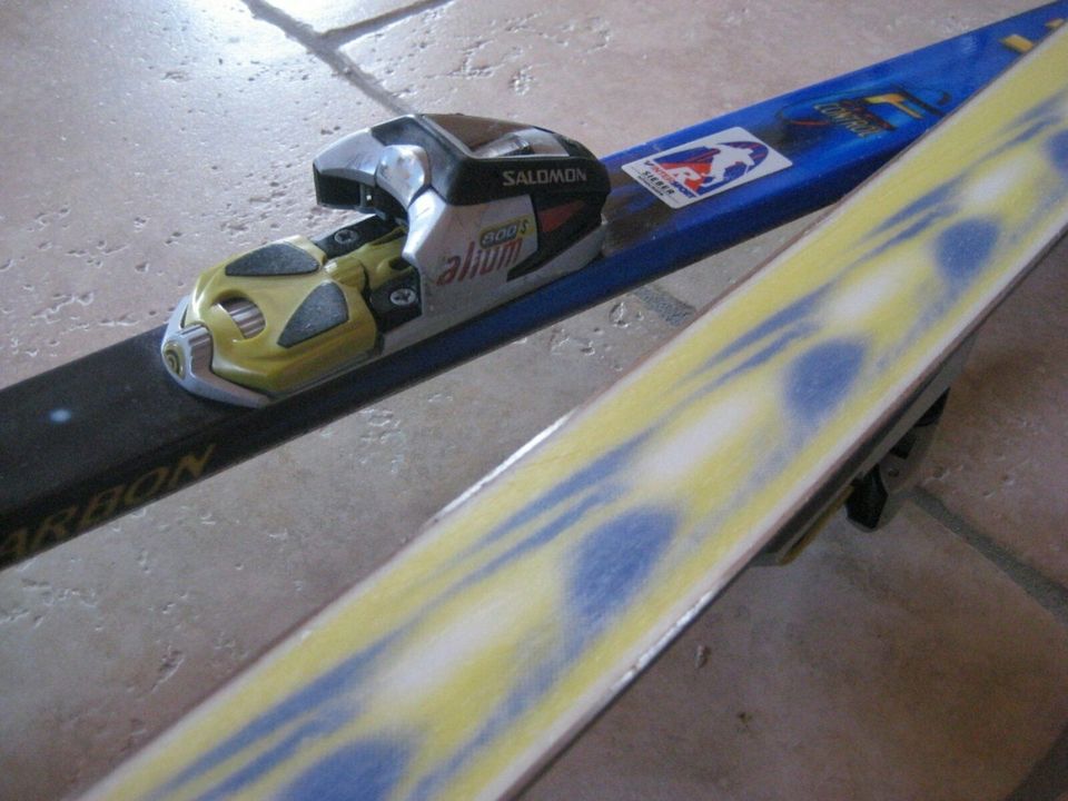 Ski Head Flex Control Carbon FX1 / S 800 + Kneisselstöcke in Langenaltheim