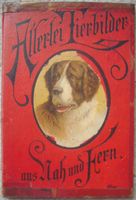 Allerlei Tierbilder aus nah und fern * Bilderbuch Kinderbuch 1897 Sachsen-Anhalt - Halle Vorschau