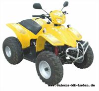 MZ MuZ ATV 150 Quad Ersatzteile Brandenburg - Britz bei Eberswalde Vorschau