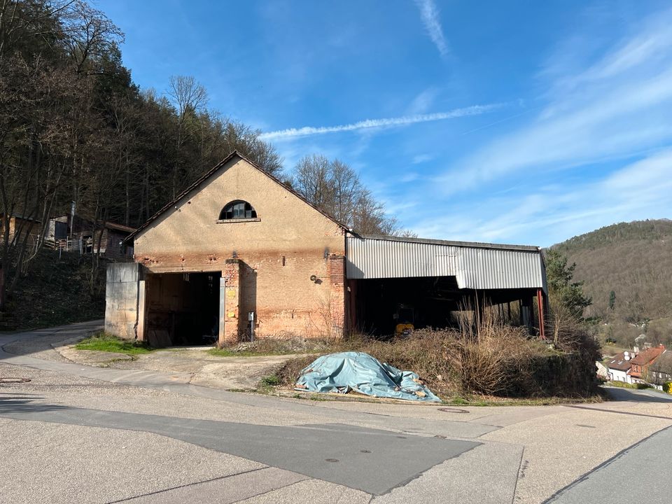 Flexibles Gewerbegrundstück mit geräumiger Lagerhalle: Ideal für diverse Nutzungsmöglichkeiten in Eberbach