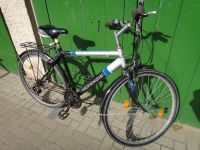 Fahrrad, Herrenrad, 28", reparaturbedürftig Brandenburg - Grünheide (Mark) Vorschau